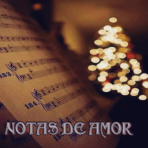 No fuiste ni antes ni después, fuiste a tiempo, a tiempo para que me enamorara de t