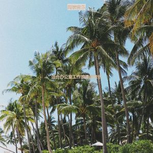 在家里工作温柔的波萨诺伐舞曲