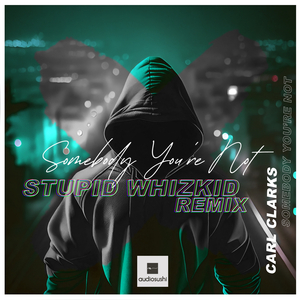 Somebody You're Not (Stupid Whizkid Extended Remix)