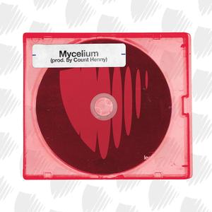 Mycelium