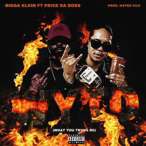 Wytd (What You Tryna Do)