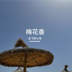 梅花香 伴奏