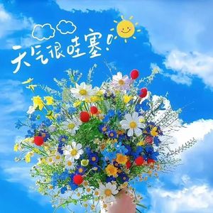 一幅未完成的画