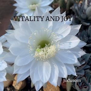 VITALITY AND JOY
