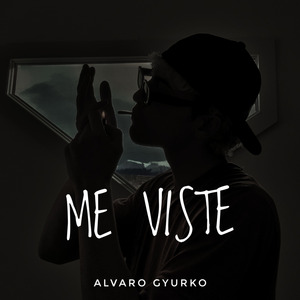 Me Viste