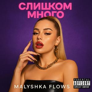 Слишком много