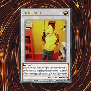 seXION X (lilgringo)