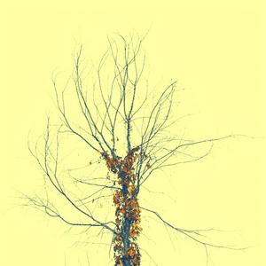 Dead Tree (Single Version)