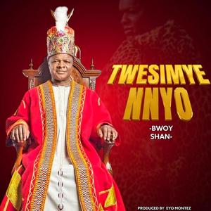 Twesimye Nnyo