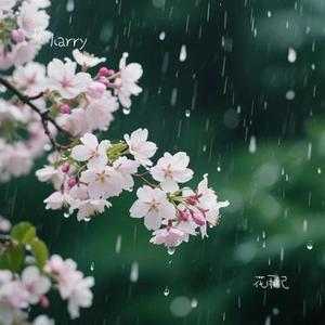 花雨纪