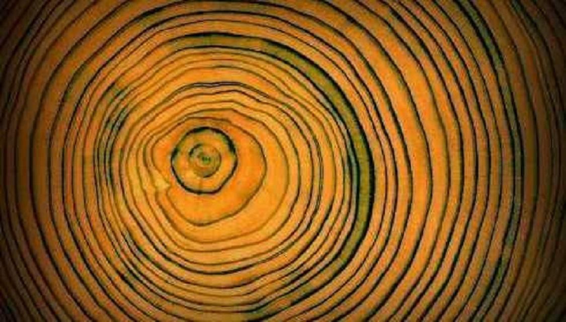 109951163058478088.jpg