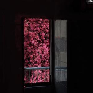叮咚 (福音R&B)