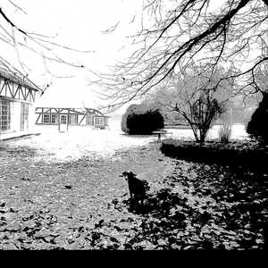 Ce qu'il nous fallait