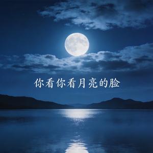 你看你看月亮的脸