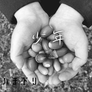 少年