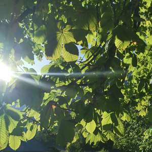 青春（Prod by Veezy）