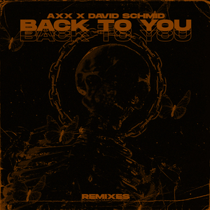 Back to You (Remix)