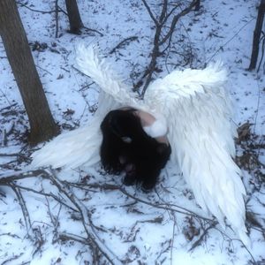 [Trap]"珍惜"SASIOVERLXRD x 网感 Type Beat