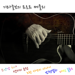 기타늘보의 트로트 메들리