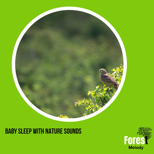 Rain after Math at Cave Entrance