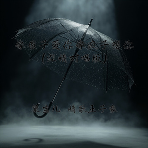像傻子爱你像疯子想你(深情对唱版)