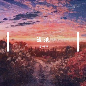 流浪