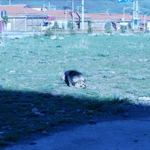 年华是无效的信