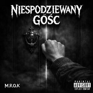 Niespodziewany gość