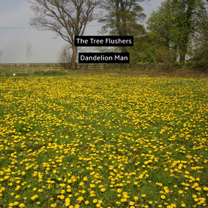 Dandelion Man
