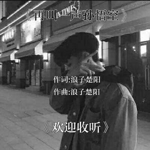 再叫一声孙悟空（翻自 浪子楚阳）