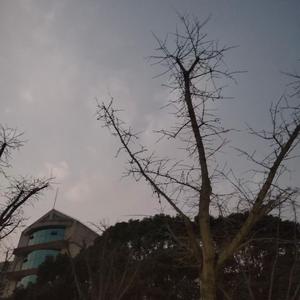 哪里都是你