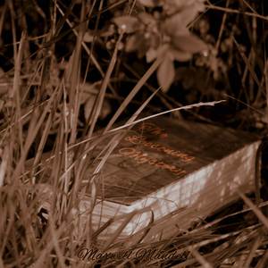 The Loosening Mystery