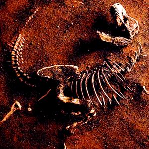 Archaeology