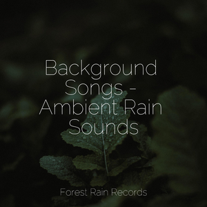 Rainforest Nature Ambience