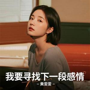 我要寻找下一段感情