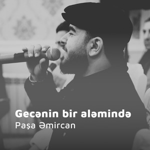Gecənin bir aləmində