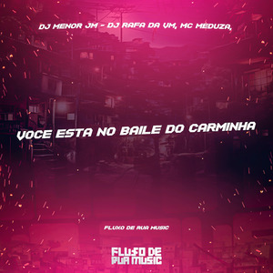 Você Está no Baile do Carminha