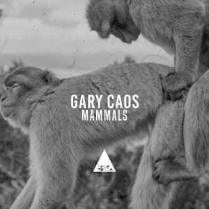 Mammals (Original Mix)