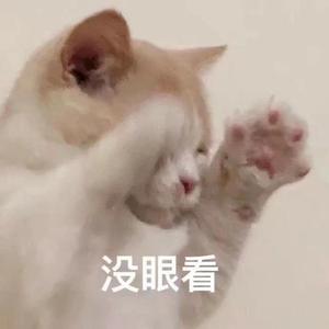 笨蛋