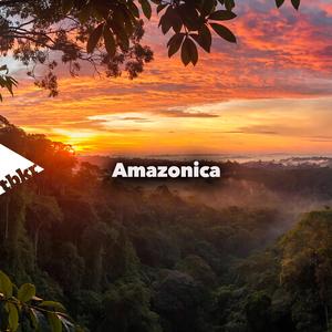 Amazonica