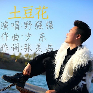 土豆花