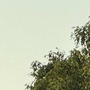 虚空牢笼