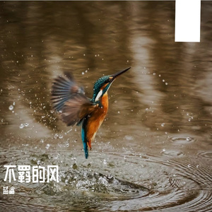 你是我最喜欢的风