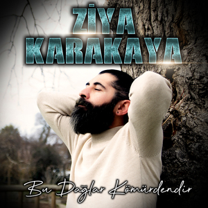 Bu dağlar kömürdendir
