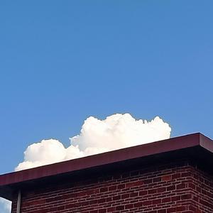 此生是我吗 翻自 李奕遐