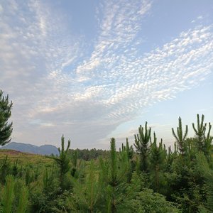 转换_你是谁的谁1