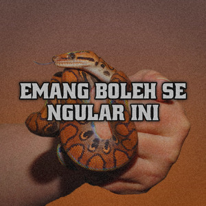 Emang Boleh Se Ngular Ini