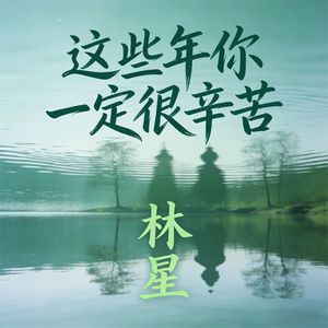 这些年你一定很辛苦