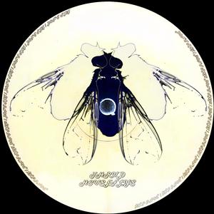 HOUSEFLYS