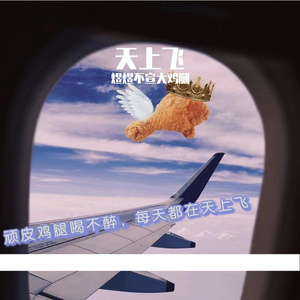 天上飞